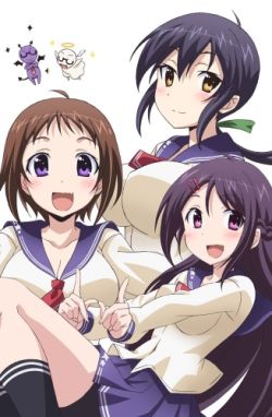 Okusama ga Seitokaichou! Plus!!