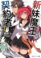 Shinmai Maou no Testament - Novel