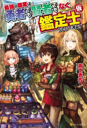 Saikyou no Shokugyou wa Yuusha demo Kenja demo Naku Kanteishi (Kari) Rashii Desu yo? - Novel